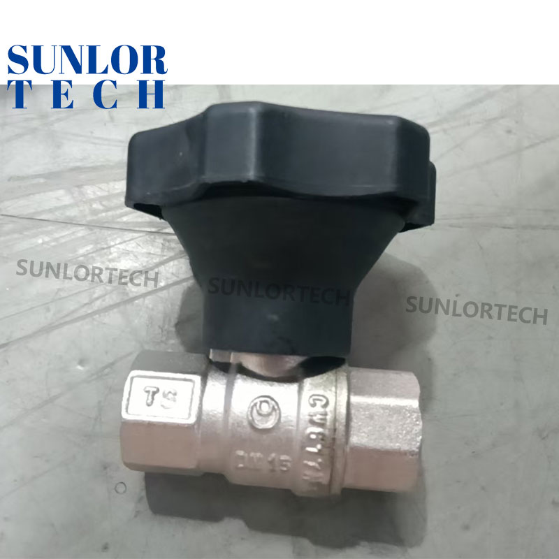 AGH Precision Gas Regulator Valve for Natural Gas/LPG Leak-Proof Design