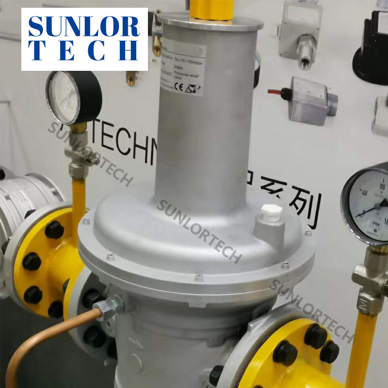 Gas regulator valve AGV...F40 series