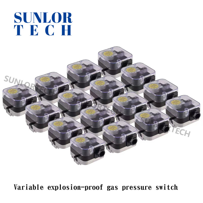 Variable explosion-proof gas pressure switch