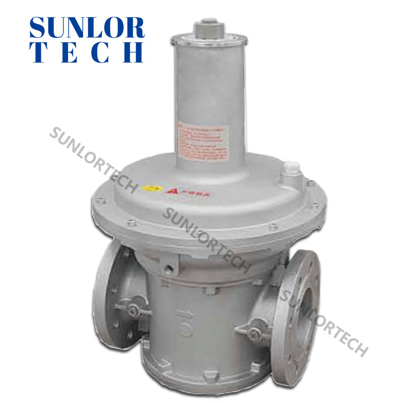 Gas regulator valve AGV...F40 series