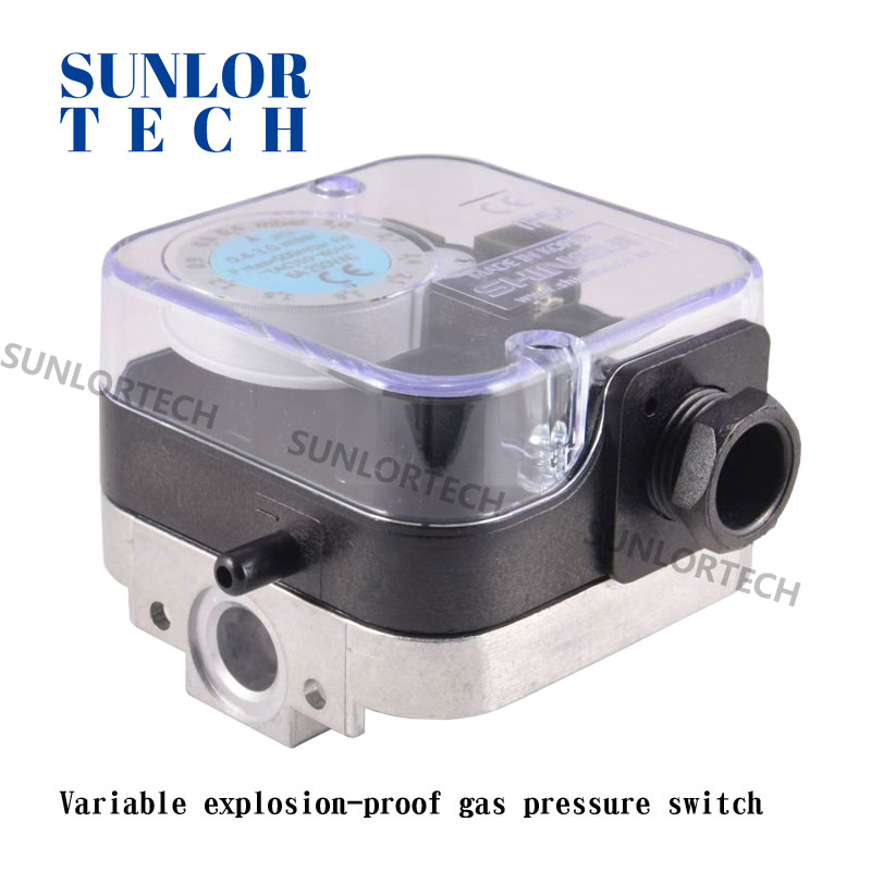 Variable explosion-proof gas pressure switch