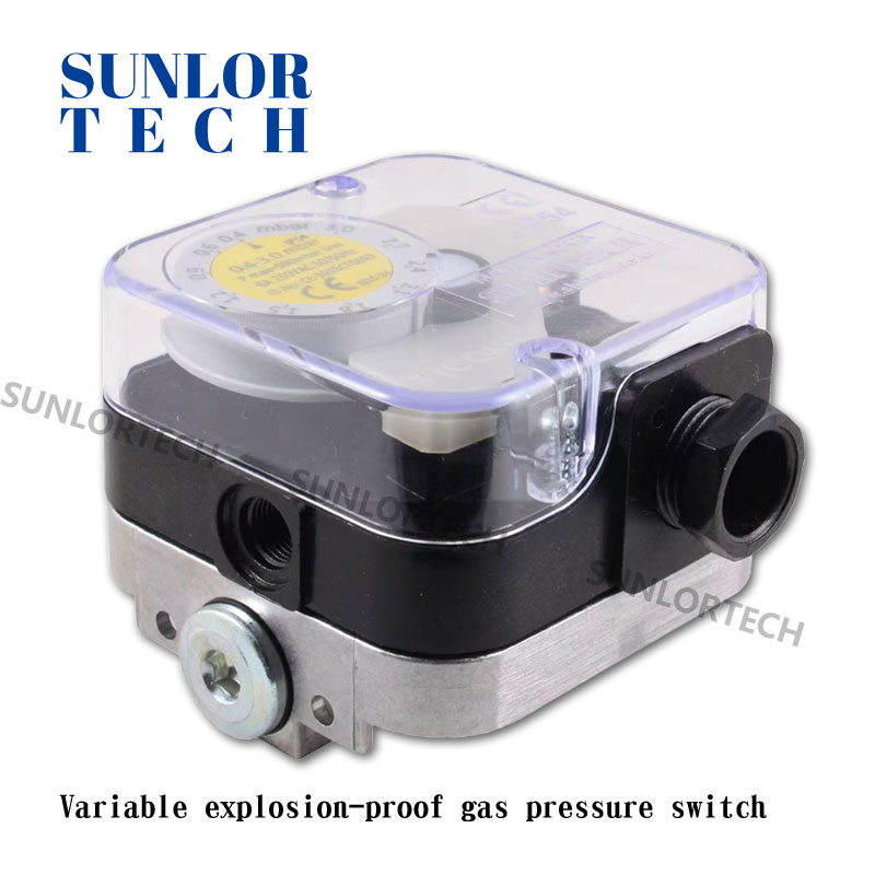 Variable explosion-proof gas pressure switch